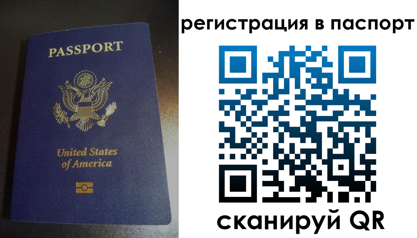 прописка для школы в Великих Луках
